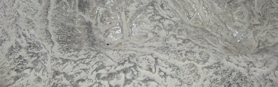>>>>>4904[ Auteur : xxxxx ]